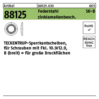 250 Stück, Artikel 88125 Federstahl Form B zinklamellenbesch. TECKENTRUP-Sperrkantscheiben für Fkl. 10.9/12.9, für große Druckfl. - Abmessung: B 10x27,25x2,4