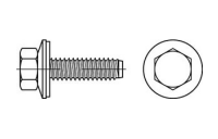 300 Stück, Artikel 88276 A 2 Form BZ Fassadenschrauben mit montierter Dichtscheibe mit Zapfen - Abmessung: BZ 6,3 x 45