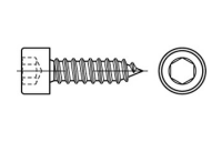 1000 Stück, Artikel 88312 A 2 Form C Zylinder-Blechschrauben mit Innensechskant mit Spitze - Abmessung: C 4,8 x 16