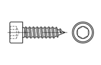 200 Stück, Artikel 88312 A 2 Form C Zylinder-Blechschrauben mit Innensechskant mit Spitze - Abmessung: C 5,5 x 32