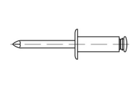 250 Stück, Artikel 88408 Niet Kunststoff A Dorn Kunststoff Offene Blindniete mit Sollbruchdorn, Flachkopf - Abmessung: 6 x 12