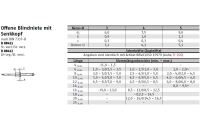 100 Stück, Artikel 88412 Niet Al-Leg. B Dorn Stahl, verz. Offene Blindniete mit Sollbruchdorn, ~DIN 7337/ISO 15978, Senkkopf 120° - Abmessung: 5 x 30