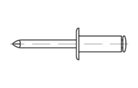 500 Stück, Artikel 88417 Niet Al-Leg. A-Ls Dorn Stahl, verz. Offene Blindniete mit Sollbruchdorn, ~DIN 7337/ISO 15977, Flachkopf, schwarz - Abmessung: 3 x 6