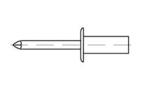 500 Stück, Artikel 88420 Niet Al-Leg. CAP- F Dorn Stahl Geschlossene Blindniete mit Sollbruchdorn, ~ISO 15973, Flachrundkopf - Abmessung: 3,2 x 6,5