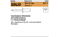 500 Stück, Artikel 88420 Niet Al-Leg. CAP- F Dorn A 2 Geschlossene Blindniete mit Sollbruchdorn, Flachrundkopf - Abmessung: 3,2 x 6,5