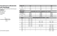 500 Stück, Artikel 88420 Niet Al-Leg. CAP- F Dorn A 2 Geschlossene Blindniete mit Sollbruchdorn, Flachrundkopf - Abmessung: 4,8 x 14