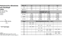 500 Stück, Artikel 88474 Niet Al-Leg. MB-A Dorn A 2 Offene Blindniete mit Sollbruchdorn, Flachkopf, Mehrbereichsschaft - Abmessung: 4,8 x 10