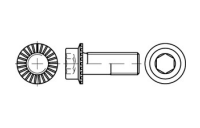 500 Stück, Artikel 88912 100 RIPP flZn/TL 480h (zinklamellenbesch.) Zylinder-Flanschschrauben mit Innensechskant, mit Sperr-Rippen - Abmessung: M 6 x 12