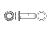 500 Stück, Artikel 88913 100 RIPP flZn/TL 480h (zinklamellenbesch.) Sechskant-Flanschschrauben mit Sperr-Rippen, Flansch, Gewinde bis Kopf - Abmessung: M 6 x 20