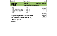 1000 Stück, Artikel 7981 Stahl Artikel 88981 galvanisch verzinkt Kappenkopf-Blechschrauben mit Phillips-Kreuzschlitz H, mit Spitze - Abmessung: 3,9 x 9,5 -H