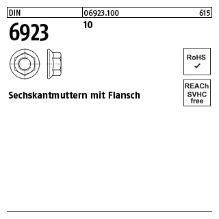 500 Stück, DIN 6923 10 Sechskantmuttern mit Flansch - Abmessung: M 10