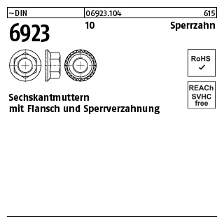 1000 Stück, ~DIN 6923 10 Sperrzahn Sechskantmuttern mit Sperrverzahnung und Flansch - Abmessung: M 5