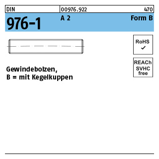 100 Stück, DIN 976-1 A 2 Form B Gewindebolzen, mit Kegelkuppen - Abmessung: BM 10 x 100