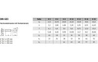 200 Stück, DIN 603 A2 Flachrundschrauben mit Vierkantansatz - Abmessung: M 5 x 20