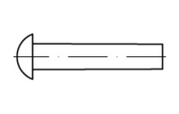 200 Stück, DIN 660 A2  Halbrundniete - Abmessung: M 5 x 40