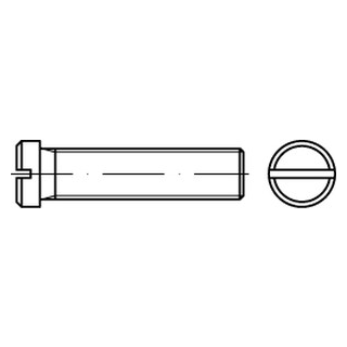 100 Stück, DIN 920 A2 Flachkopfschrauben mit Schlitz und kleinem Kopf - Abmessung: M 8 x 10