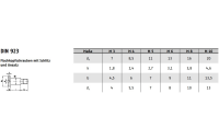 50 Stück, DIN 923 1.4305 Flachkopfschrauben mit Schlitz und Ansatz - Abmessung: M 8 x 20