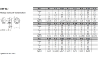 10 Stück, DIN 937 A4  Kronenmuttern, niedrige Form - Abmessung: M 27