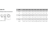 10 Stück, DIN 979 A2  Kronenmuttern, niedrige Form - Abmessung: M 30