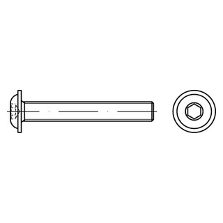 200 Stück, ISO 7380-2 A2 Flachkopfschrauben mit Innensechskant und Bund - Abmessung: M 5 x 45