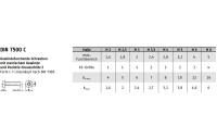 1000 Stück, DIN 7500 Form CE A2 Gewindefurchende Linsenkopfschraube, Pozidrive - Abmessung: M 4 x 30