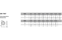 50 Stück, DIN 7967 A4  Sicherungsmuttern (Palmuttern) - Abmessung: M 27