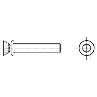 100 Stück, Artikel 9155 A2  Abreissschrauben mit Abreissmoment 18 - 25 Nm - Abmessung: M 8