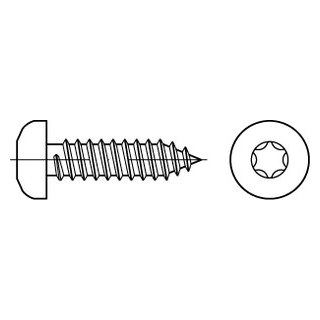 1000 Stück, ISO 14585 A4 Form C - ISR Flachkopf- Blechschrauben mit Spitze, mit Innensechsrund - Abmessung: 2,2 x 6,5