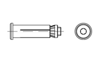 1 Stück, Artikel 82031 Stahl HBCSK galvanisch verzinkt LINDAPTER-HOLLO-BOLT HBCSK für Befest. an Hohlprofilen, mit Senkschrauben - Abmessung: HBCSK 10-1 ( 50/22)