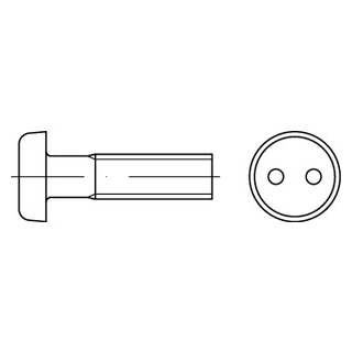 100 Stück, Artikel 88111 A2  Zylinderkopf-Sicherheitsschrauben, Zweilochantrieb - Abmessung: 4 x 8 SP-8