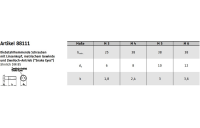 100 Stück, Artikel 88111 A2  Zylinderkopf-Sicherheitsschrauben, Zweilochantrieb - Abmessung: 4 x 30 SP-8