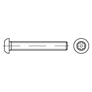 100 Stück, Artikel 88116 A2 Flachrundkopf-Sicherheitsschrauben mit ISR + Pin - Abmessung: 3,5 x 6